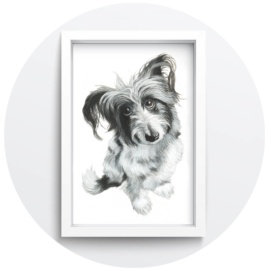 A4 Pet Portrait - Gift Voucher